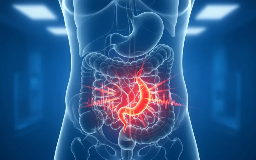 Guía completa sobre el apéndice: ¿qué es, funciones y cuidados esenciales