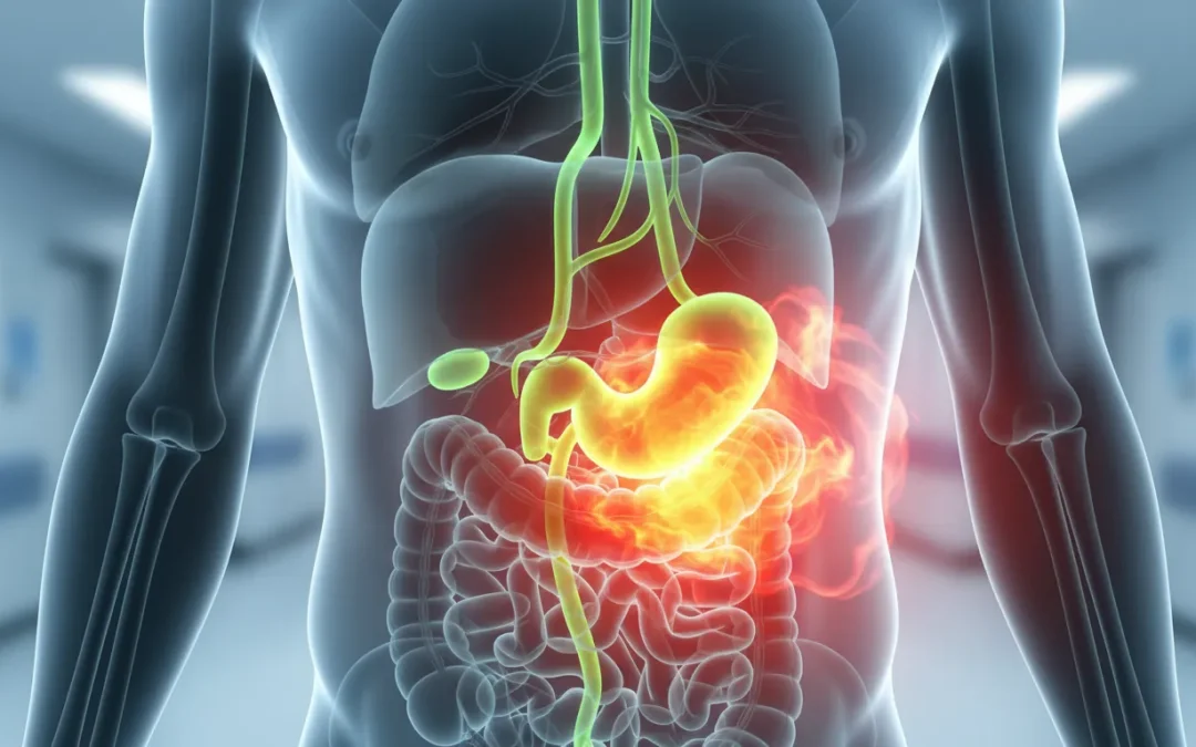 Vesícula: Una Guía Completa Sobre Su Función, Importancia y Cuidados